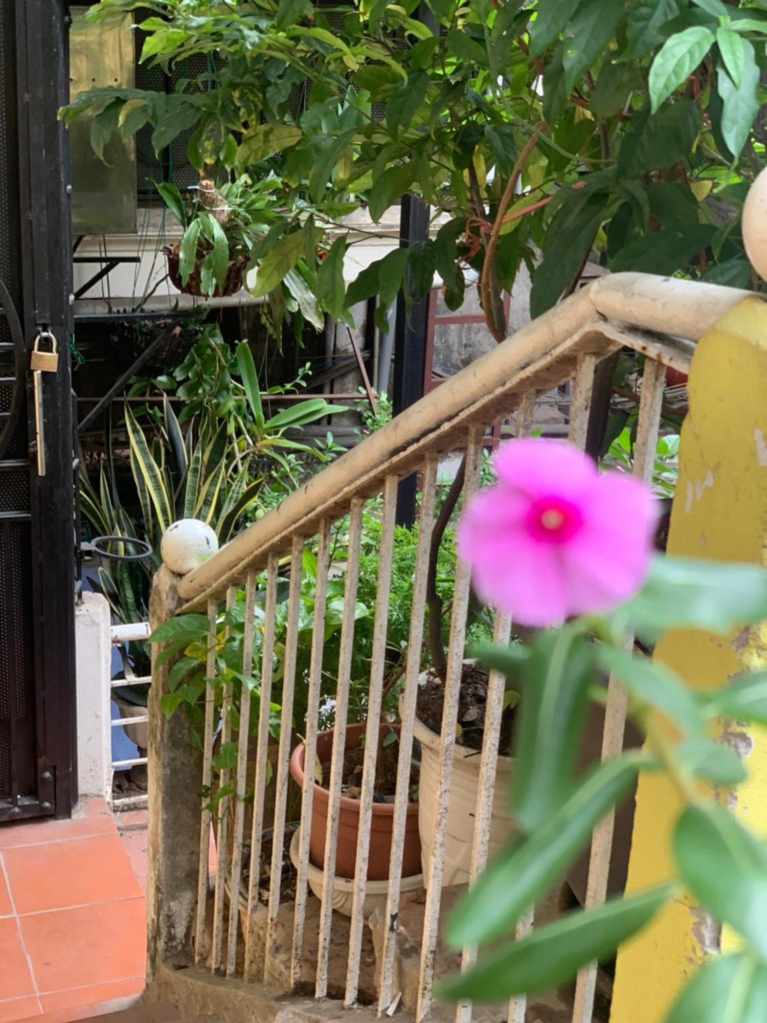 Charmcham House Apartment Hanoi Bagian luar foto