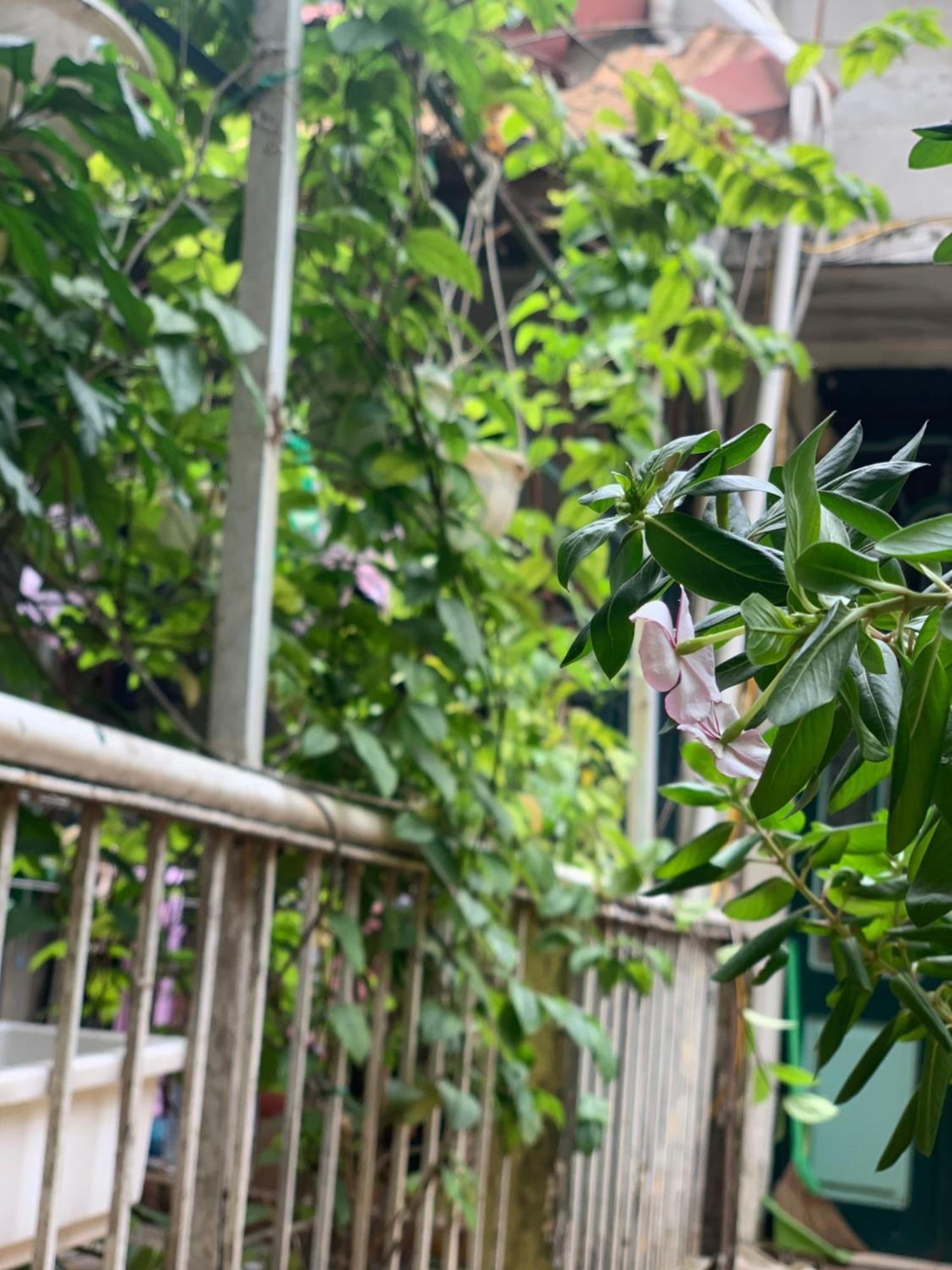 Charmcham House Apartment Hanoi Bagian luar foto