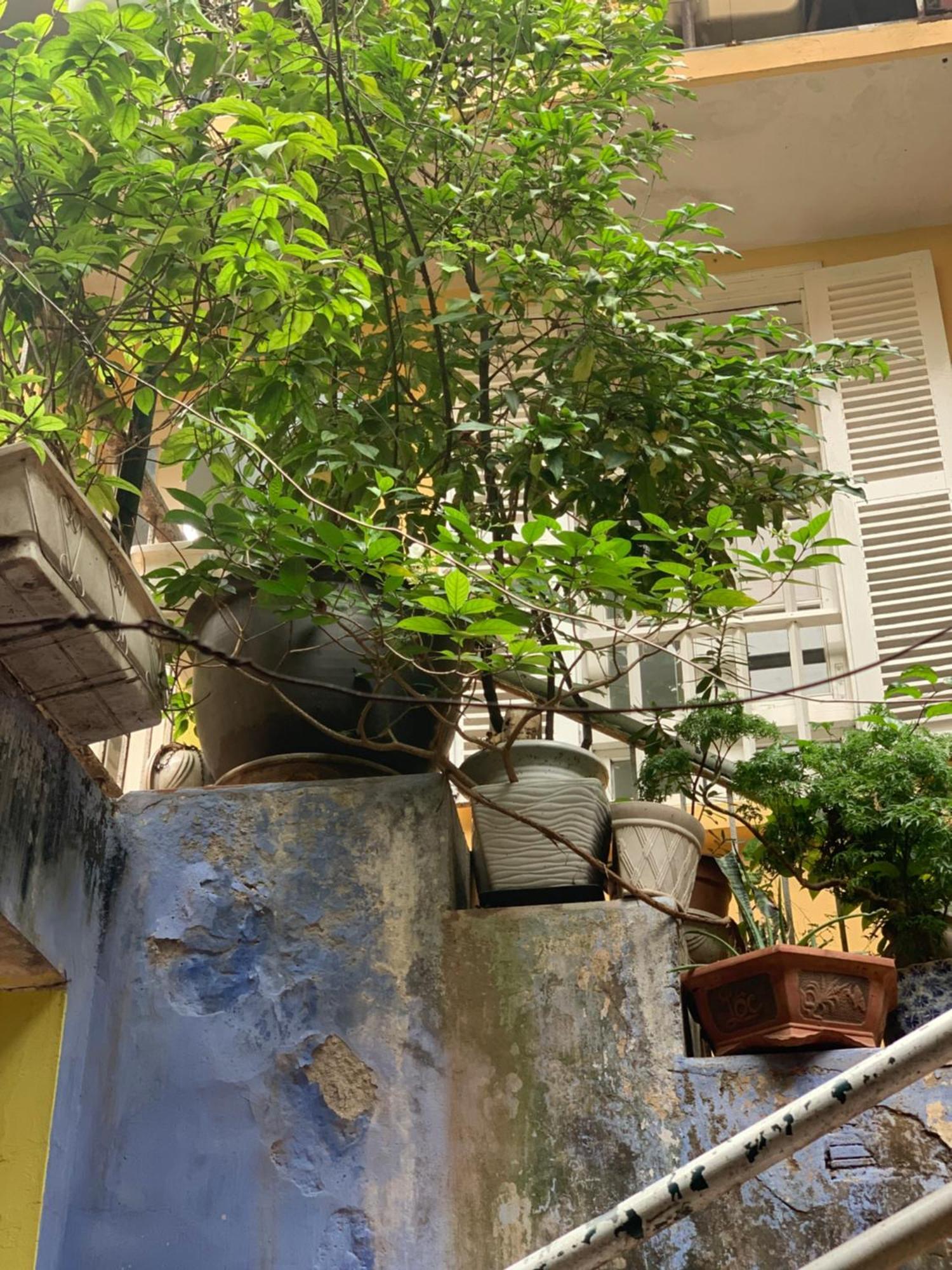 Charmcham House Apartment Hanoi Bagian luar foto